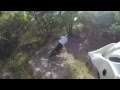 Jared Goldberg Cross Training