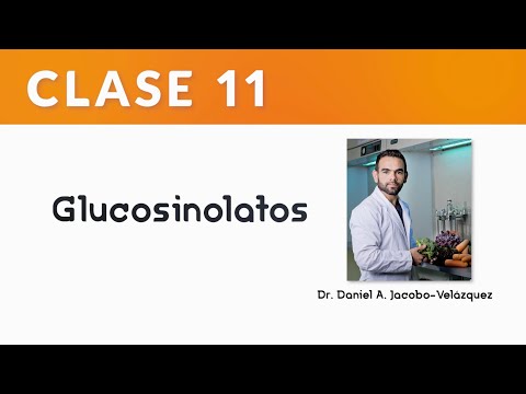 CLASE 11 - Glucosinolatos / Sulforafano / Brócoli