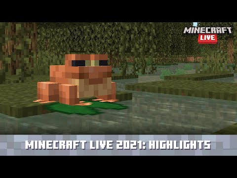 Minecraft Live 2021: Update Highlights