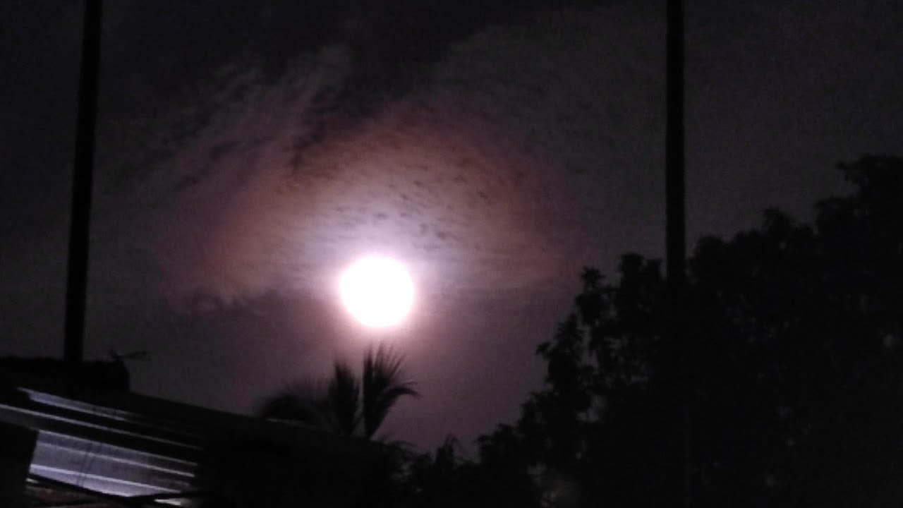 @Shortsvideos, @vlogvideos. @Natcharalvideos@.lifestilevideos