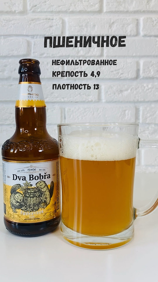 Таркос | 2 Бобра Пшеничное 🍻 #пиво #обзор #drink - YouTube