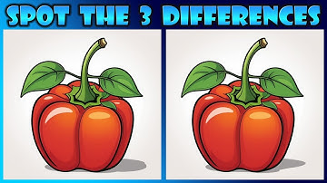 Finding the Difference Game || Concentranion || Challenge 57