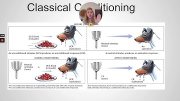 Unit 6 Part 1 Classical Conditioning