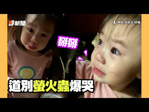 萌娃不捨跟螢火蟲道別！淚汪汪奶音哭喊：找媽媽🥺｜親子｜生命教育