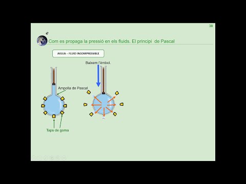 Vídeo: Pressió De Propagació