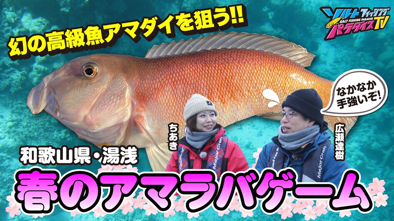 和歌山県・湯浅で春のアマラバゲーム（ソルパラTV・第184回2024年4月4日放送）
