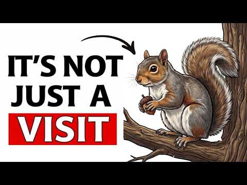 If a Squirrel Keeps Visiting Your Yard, This Is What They're Trying to Tell You