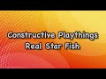 Constructive playthings real star fish