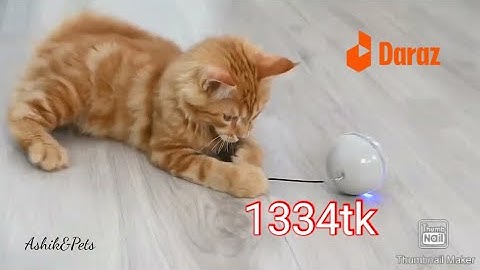 Smart Interactive Cat Toy Colorful LED Self Rotating Ball With Catnip Bell And Feather Toys