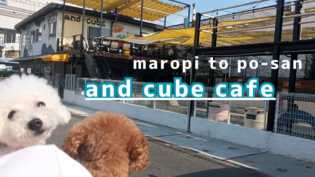 【and cube cafe】大親友と久々のカフェ！人にもわんこにも優しくて温かい、居心地抜群でお洒落なお店