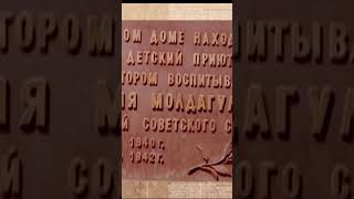 ТРАГИЧЕСКАЯ СУДЬБА АЛИИ МОЛДАГУЛОВОЙ#zagadkiistorii #kumsagat #алиямолдагулова