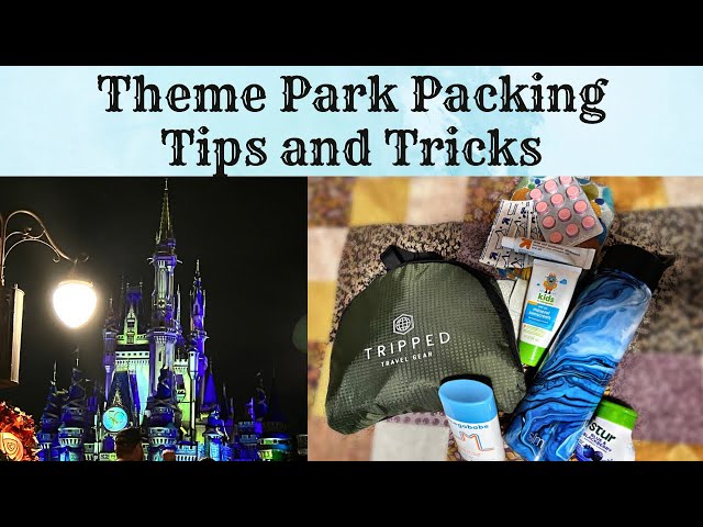 DISNEY TRAVEL & TRIP ESSENTIALS - park bag must haves, disney