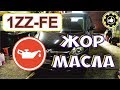 Жор масла. 1ZZ-FE. Toyota Wish. (#AvtoservisNikitin)