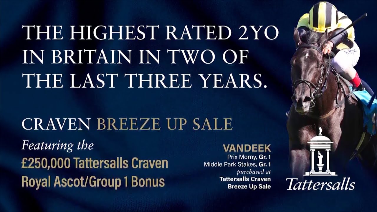 Tattersalls Craven Breeze Up Sale 2024: Breezes in lot order - YouTube
