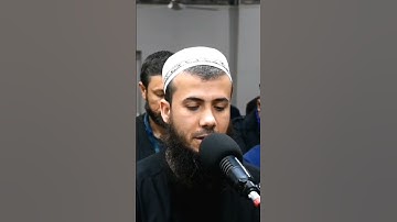 سورة البقرة قارئ سامي الكردي