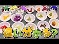 色違いの食べ物の違いを当てることはできるのか