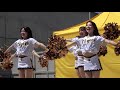 Tigers Girls 2022 巨人戦【4K】
