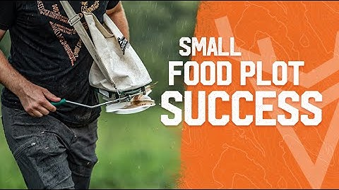 Hoe u kleine voedselpercelen nauwkeurig kunt afstemmen voor een betere jacht op herten