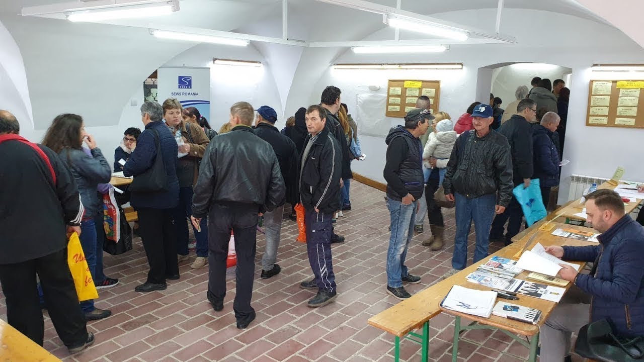 Somaj in scadare la Medias la inceput de an | novatv.ro