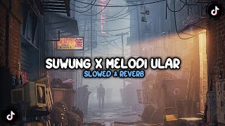 Download Lagu DJ SUWUNG X MELODI ULAR MAKE IT BUNDEM ( SLOWED \u0026 REVERB ) VIRAL TIKTOK MENGKANE MP3 Download Lagu DJ SUWUNG X MELODI ULAR MAKE IT BUNDEM ( SLOWED \u0026 REVERB ) VIRAL TIKTOK MENGKANE MP3