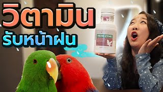 วิตามินรับหน้าฝน OMNI-VIT & PROBI-ZYME EP.198