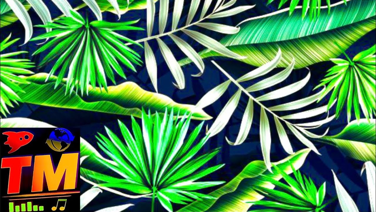 Watch Tom Music - Tropical on YouTube Watch Tom Music - Tropical on YouTube