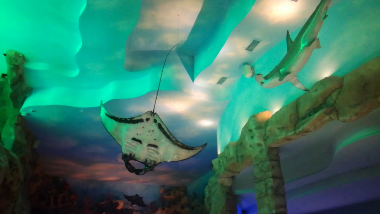 Крокус сити рыбалка. Океанариум Крокус Ледниковый период. Бабочки Крокус океанариум. Крокус Сити отель аквариум. Магазин игрушек в океанариуме Крокус Сити.