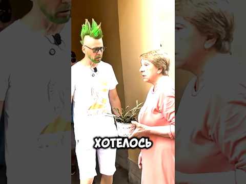 ✅ ТИПИЧНЫЙ ПИТЕР 😂