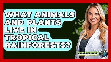 What Animals And Plants Live In Tropical Rainforests? - Earth Science Answers