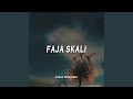 FAJA SKALI (DJ NIAL RMX)