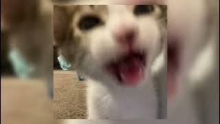 abba - chiquitita (instrumental) [sped up / nightcore]