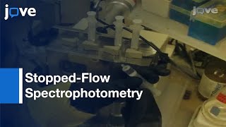 Famous Monitoring Reductive & Oxidative Half-Reactions Of Flavin-Dependent Monooxygenase l Protocol Preview Wealth
