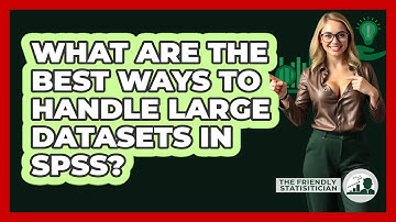 What Are The Best Ways To Handle Large Datasets In SPSS? - The Friendly Statistician