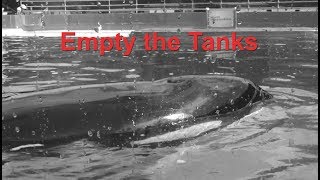 Empty the Tanks - Free Lolita the Orca - Miami Seaquarium 5.11.19