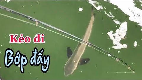 CÂU IKADA mồi BỘT tại Vịnh Xuân Đài - Sông Cầu - Phú Yên -