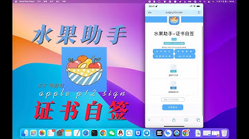 自带软件源无需越狱 水果助手iOS证书自签完整详细教程：P12 证书安装 + 应用多开（支持iOS26+）