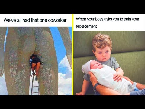 the-funniest-coworker-memes-ever