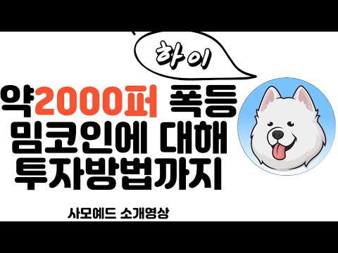 2000퍼 대폭등 밈코인 사모예드코인 사는방법 도지코인 시바이누 도지의 승 