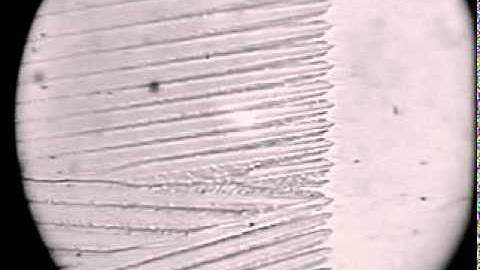 A more cellular solidification front..mpg