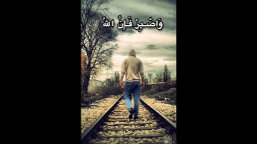 القارئ أنس محمد ( وَاصْبِرْ فَإِنَّ اللَّهَ لَا يُضِيعُ أَجْرَ الْمُحْسِنِينَ )