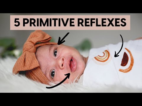 5 Important Infant Reflexes To Check Your Baby For // Primitive Reflexes 101 // Kids OT Help