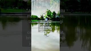 "Jadi Pro +62: Menuju Kesuksesan yang Memukau!"#Kesuksesan#KerjaKeras