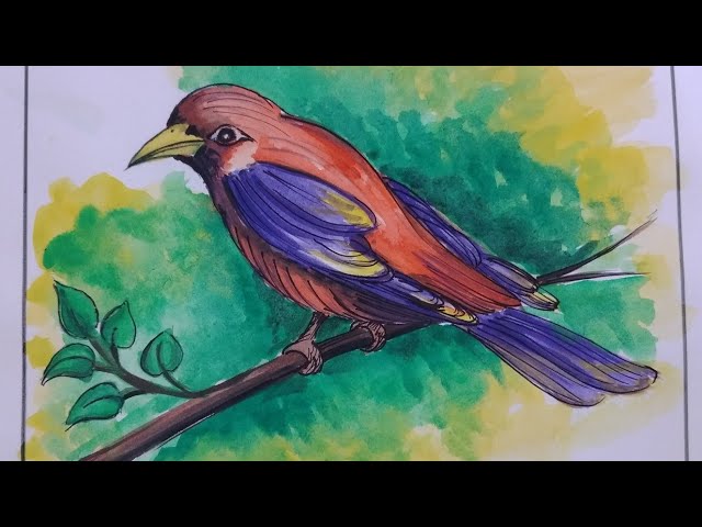 Details more than 74 bird study drawing latest