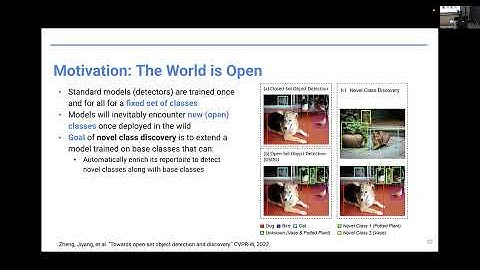 Adapting to the Unknown: Lifelong Learning Novelty Discovery and Beyond - Tyler Hayes - CoLLAs 2025