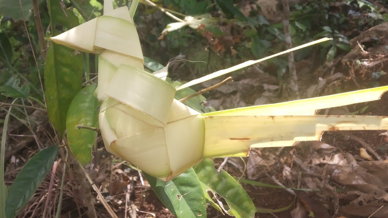  Membuat  burung  dan ketupat dari  janur atau daun  kelapa 