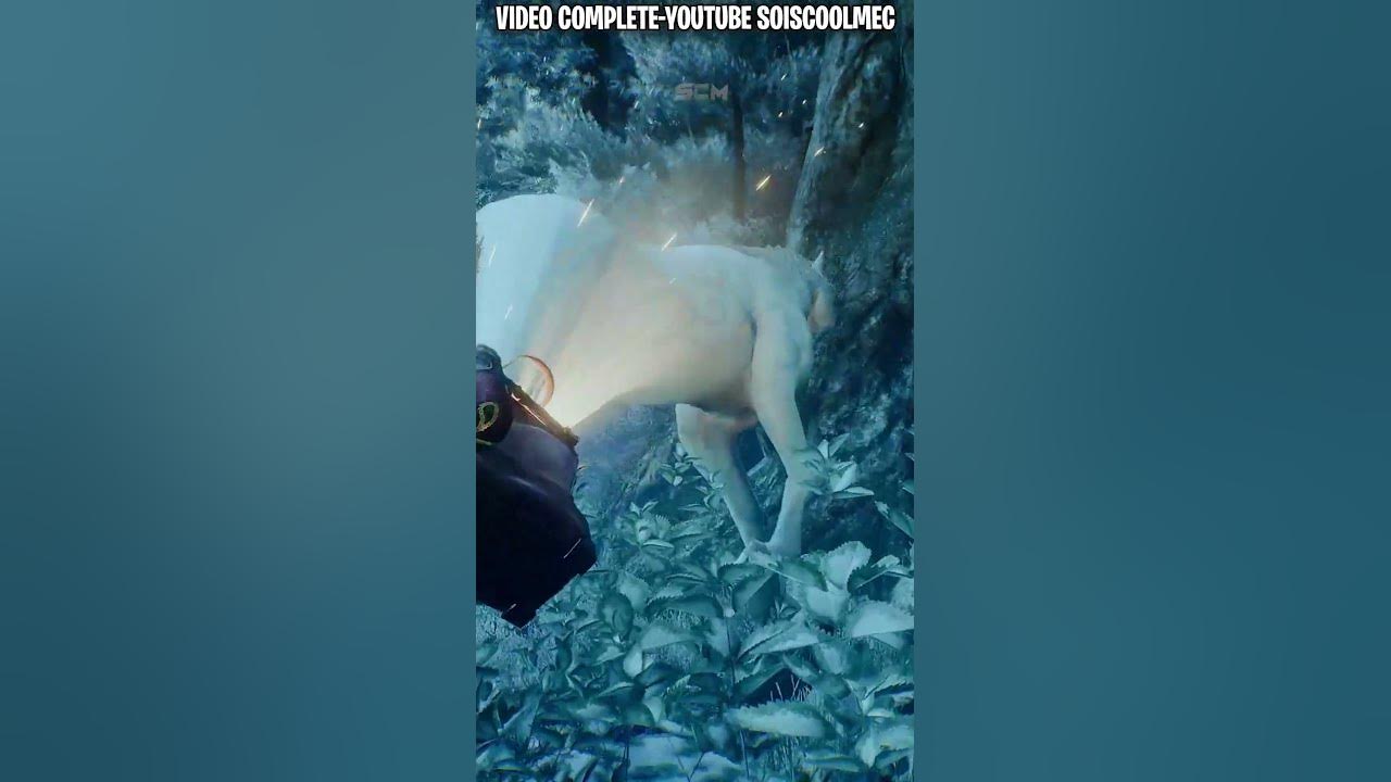 Trouver et Sauver Noisette la Licorne Hogwarts Legacy, Astuce Comment Capturer Attraper une