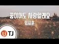 TJ노래방 여자키 꿈이어도사랑할래요 임지훈 TJ Karaoke