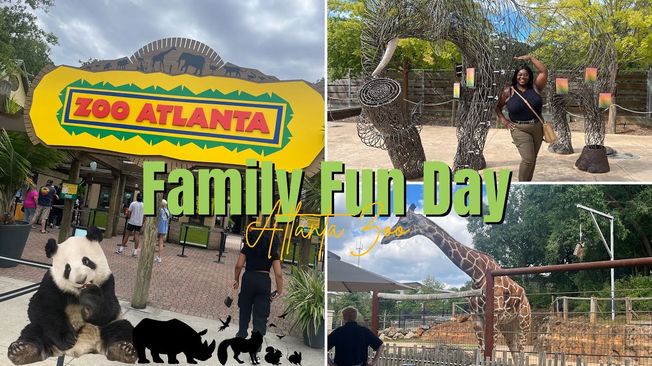 Family Fun Day | Atlanta Zoo.. not them taking little ling ling
