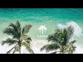 Palm realm podcast 1 tropical vibes  nu disco  good vibes only