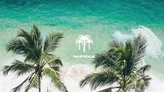 Palm Realm Podcast #1: Tropical Vibes 🌴 Nu Disco 🌴 Good Vibes Only🌴